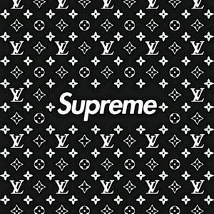 Meet your Posher, Carter